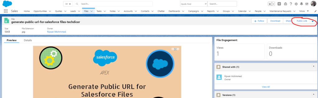 generate-public-url-for-salesforce files-public-lin-button-techdicer